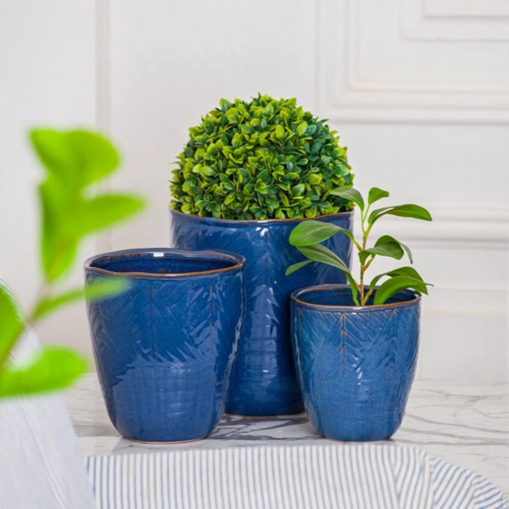 137jCpwDx0DadKyMXJtUcz8tN6FHKfbOoGRyNBBv