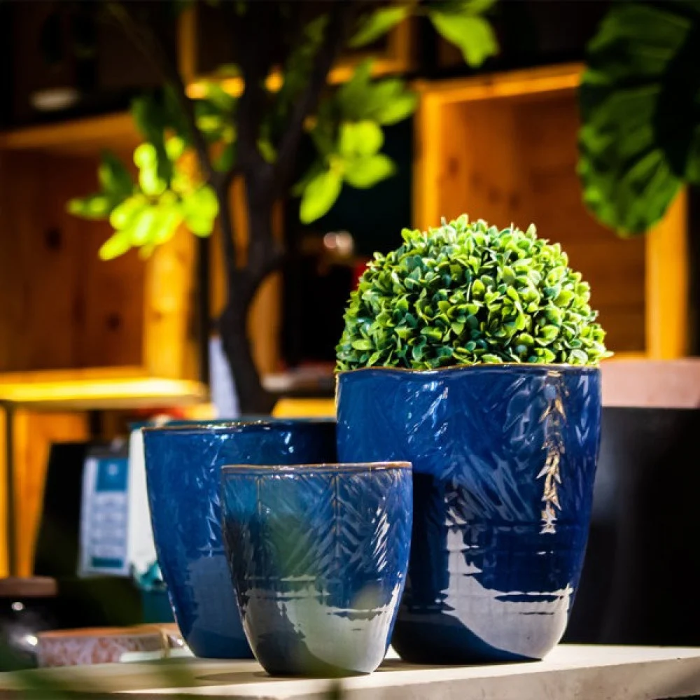 525F20s4gWFjXxUE4foB7GsCQJXcCi7mbEqNJEjf