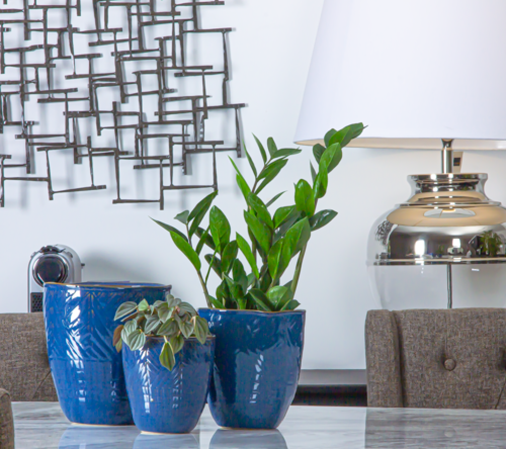 MsdnKY5GwESFKauzEACSGtkkJXmQFOdNEFbwRRkg