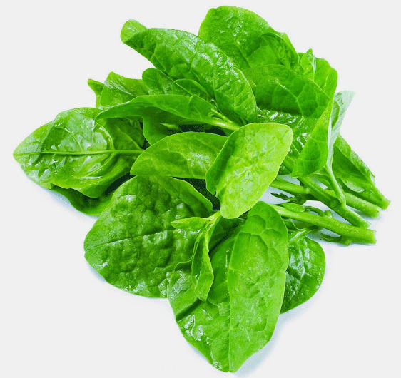 4f1ca3c9-ab20-455f-816a-abebbb5cd8d2